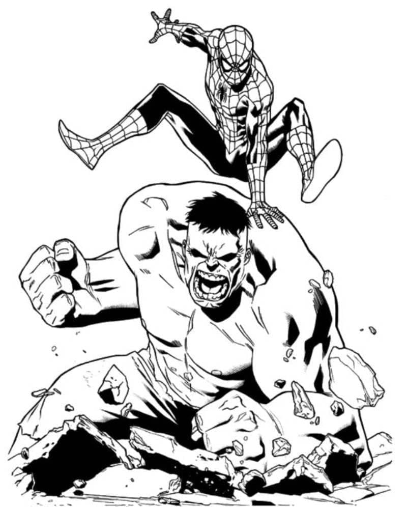 Spiderman en Hulk