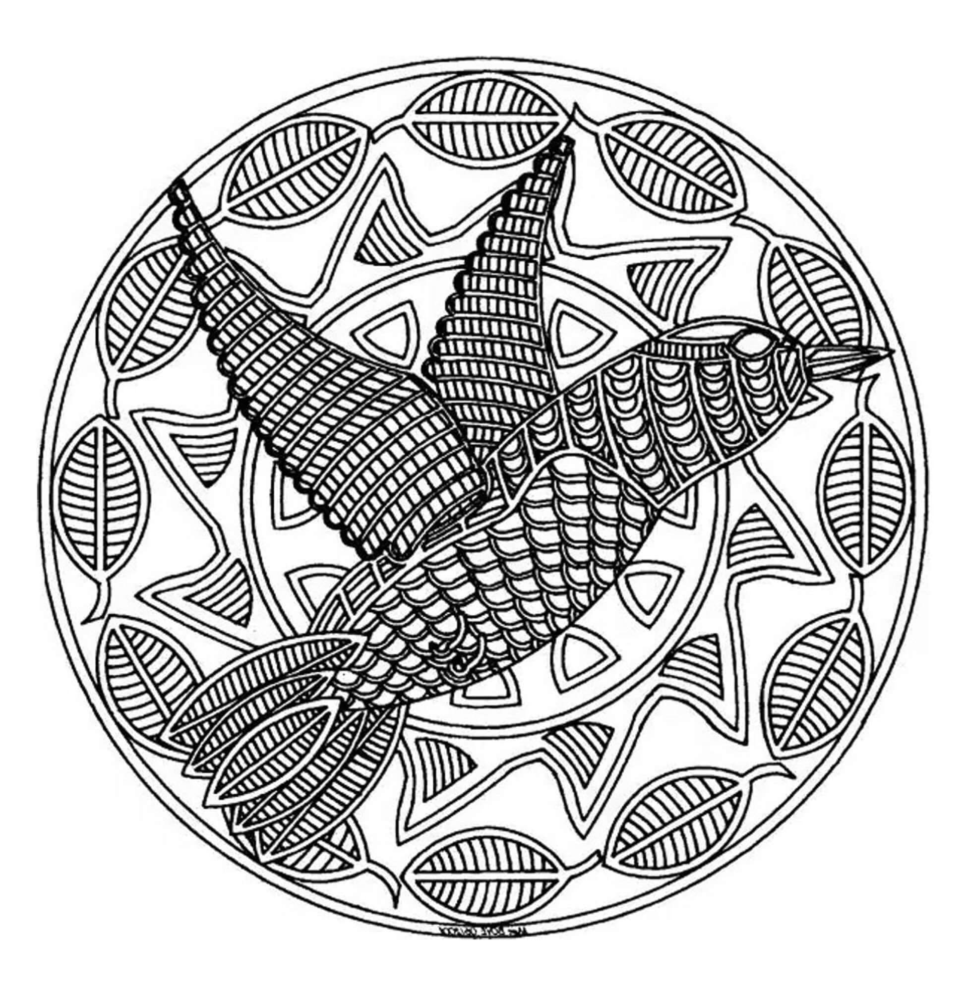 Vogel Vliegende Mandala