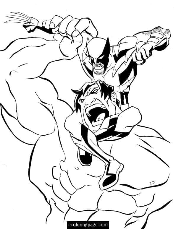 Wolverine versus Hulk
