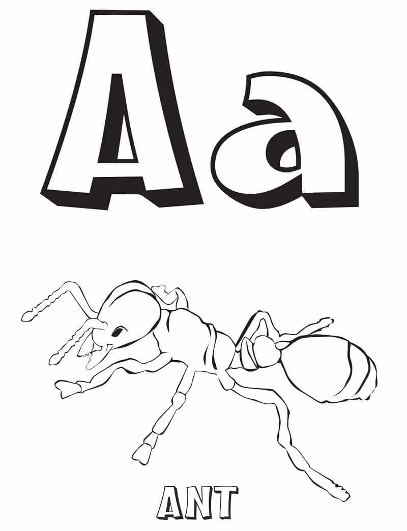 Eenvoudige letter A en Mier