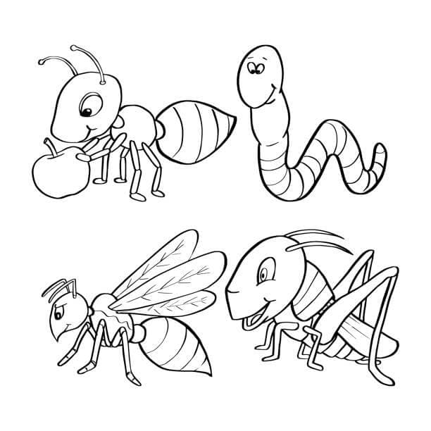 Mier En Insecten