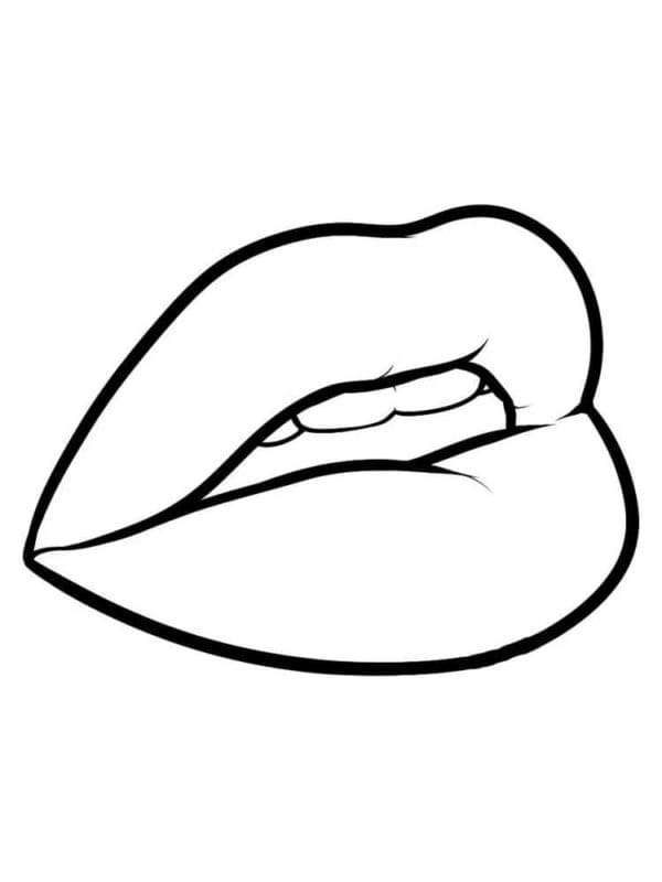 Passionate Lips