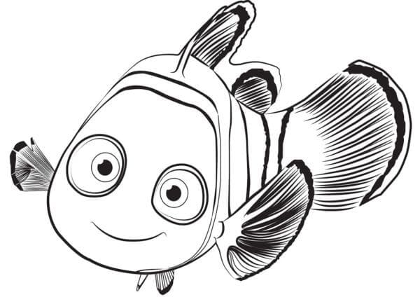 Anemoonvis genaamd Nemo