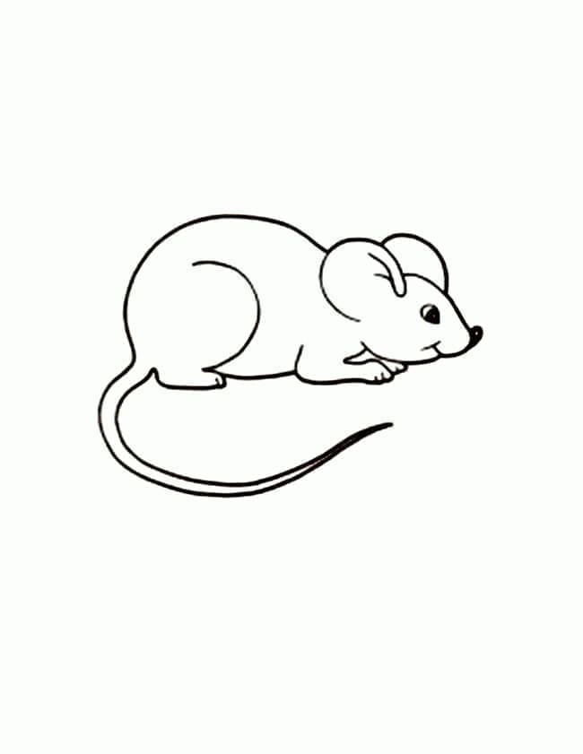 Een kleine muis