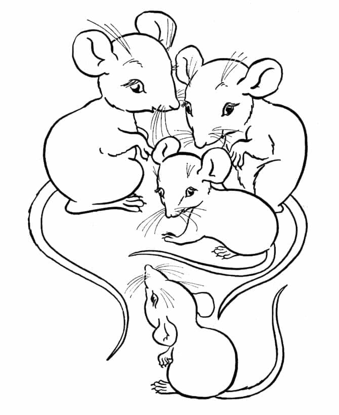 Kleine muizen