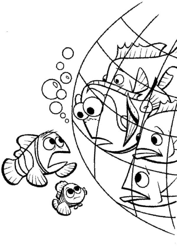 Nemo's netwerk vrienden
