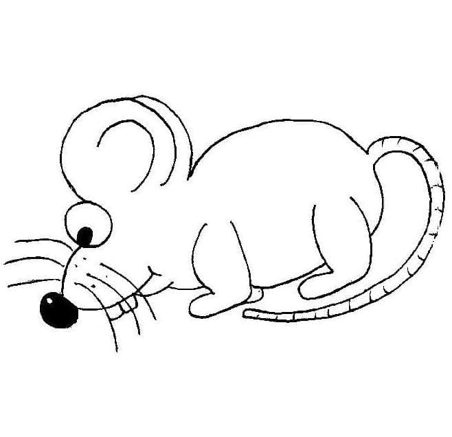 Nieuwsgierige muis