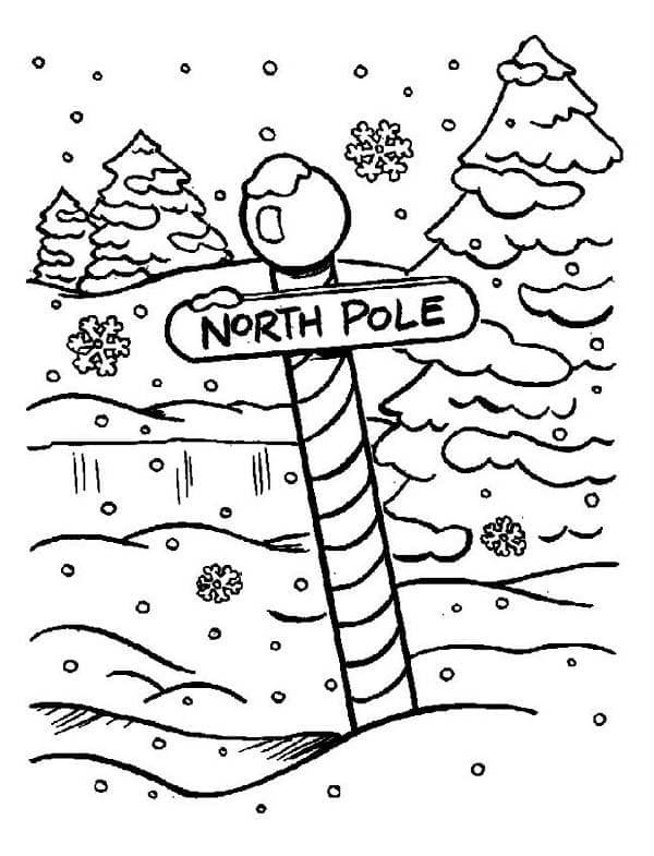 Noordpool afbeelding