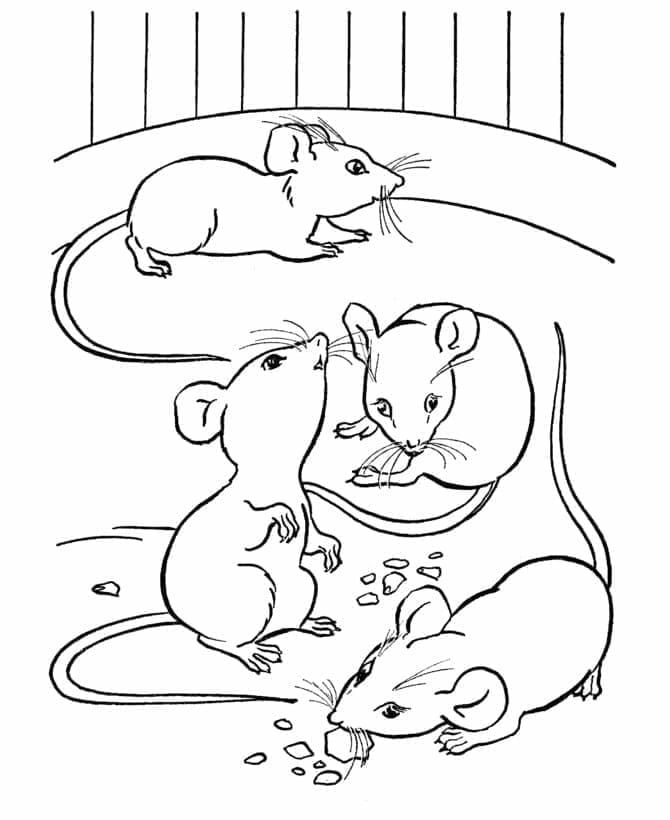 Vier muizen