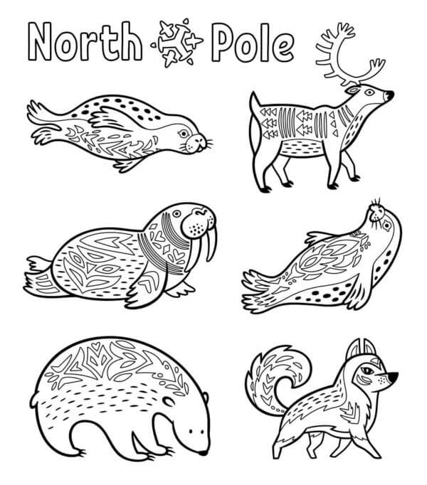 Zeldzame dieren van de Noordpool