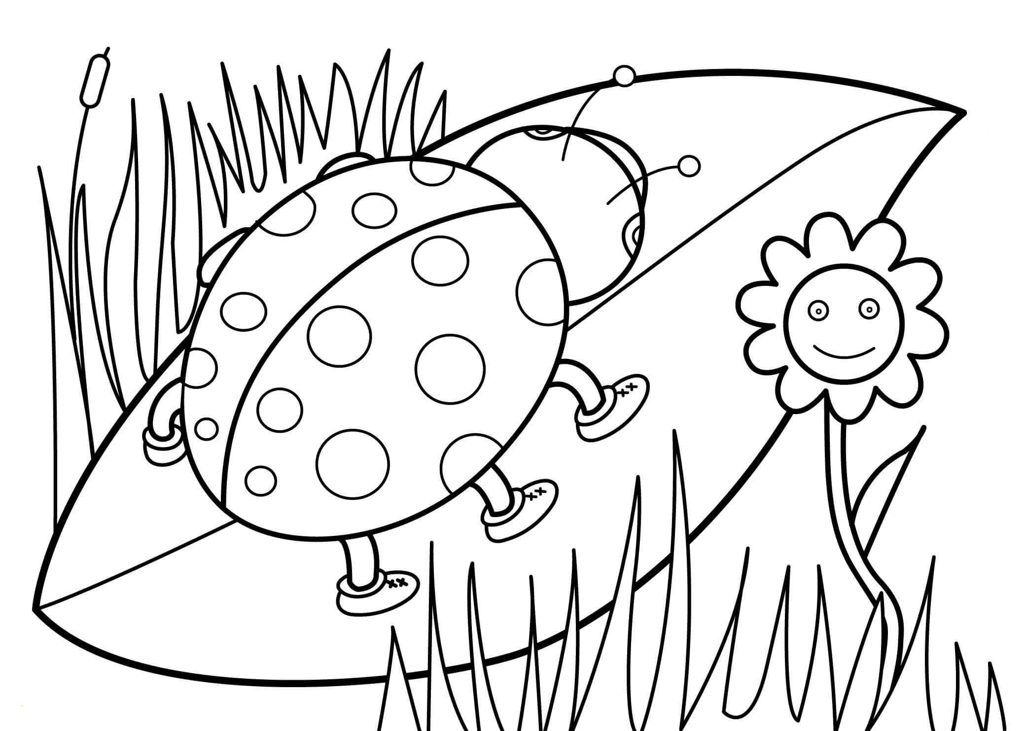 Een lieveheersbeestje op een blad