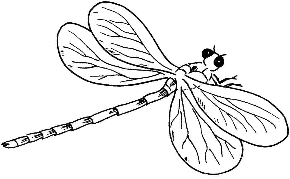 Een Vliegende Libelle
