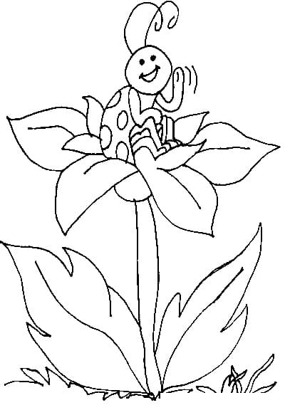 Lieveheersbeestje zittend op een bloem