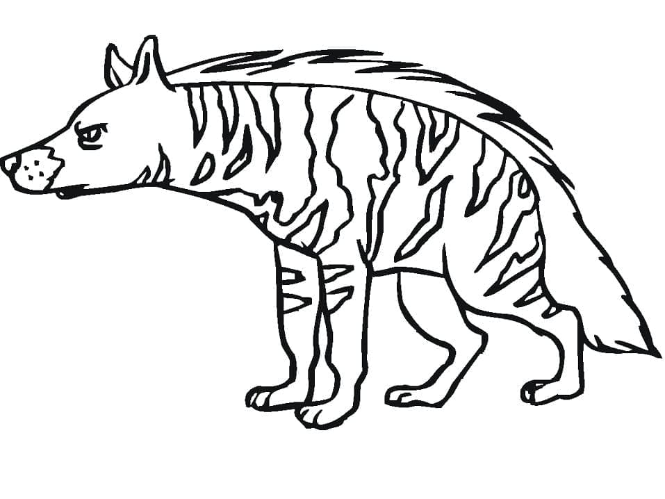 Een gestreepte Hyena