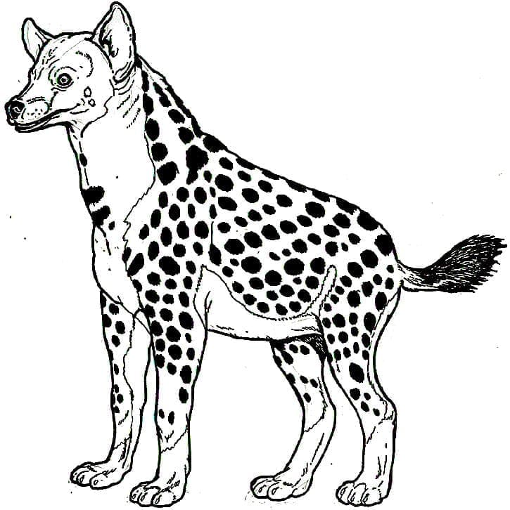 Een Hyena
