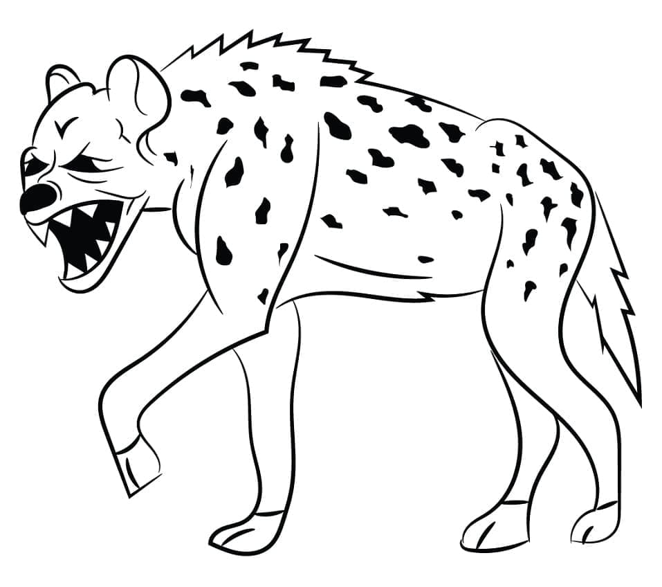 Enge Hyena