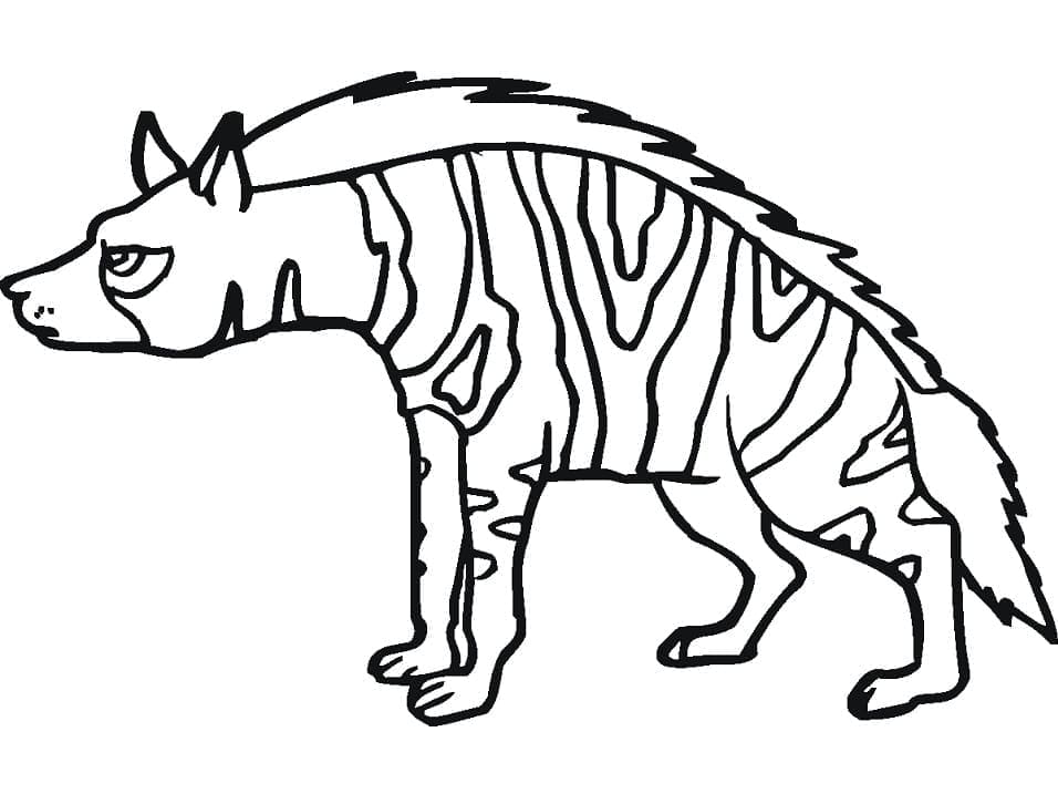 Gestreepte Hyena afbeelding