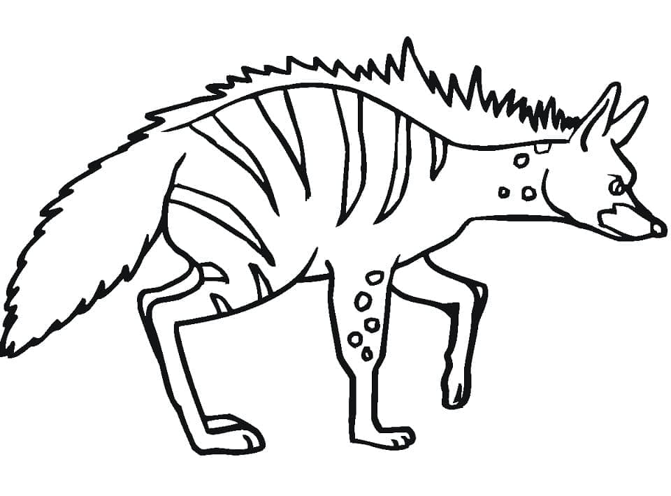 Gestreepte Hyena