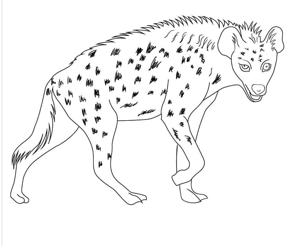 Gratis tekening van Hyena