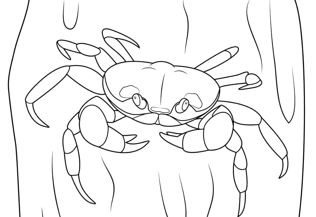 Halloween-krab