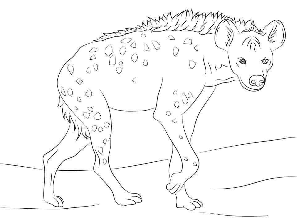 Hyena afdrukbaar