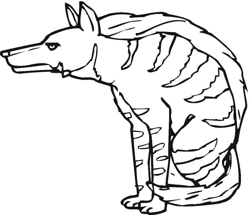Zittende Hyena