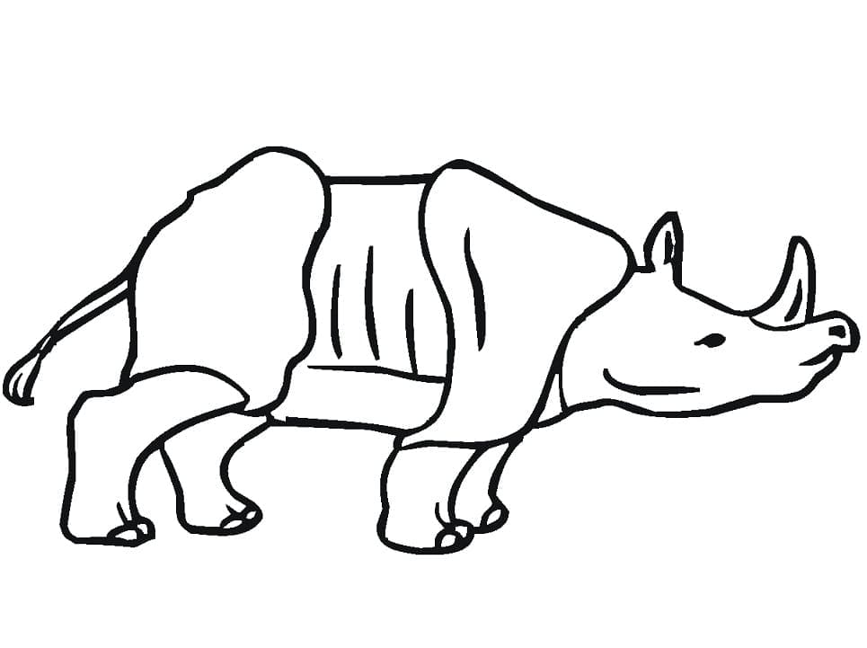 Aziatische neushoorn