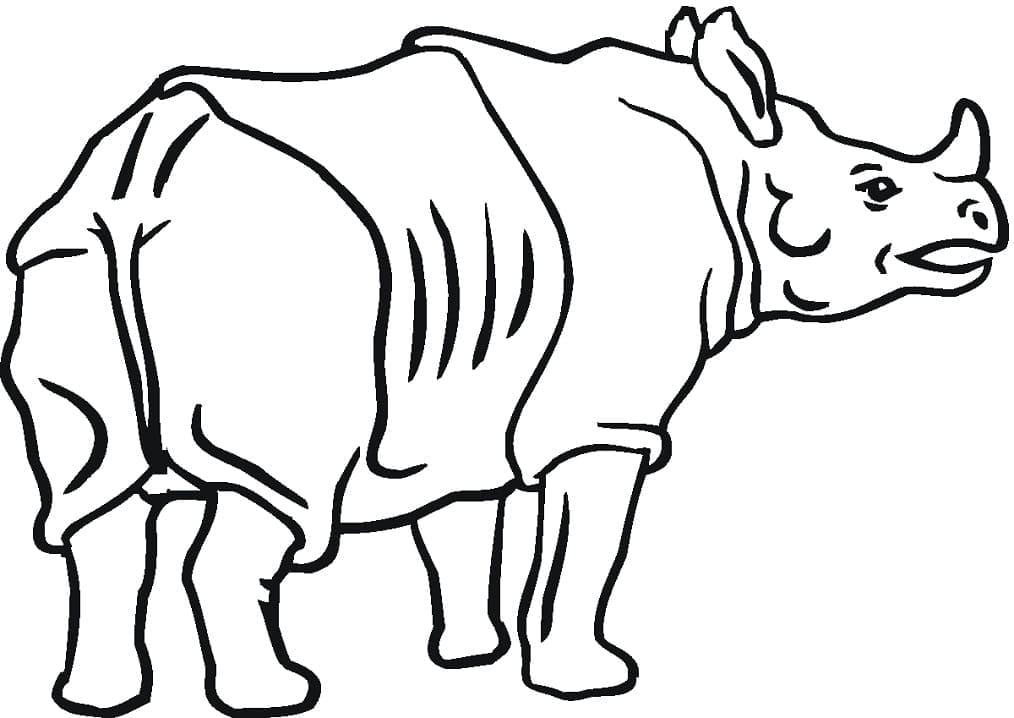 Een neushoorn