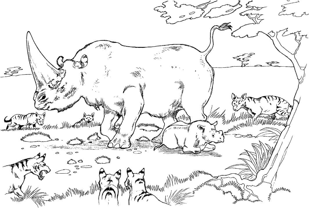 Moeder en baby neushoorn