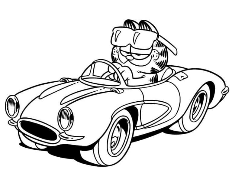 Garfield in een cabriolet