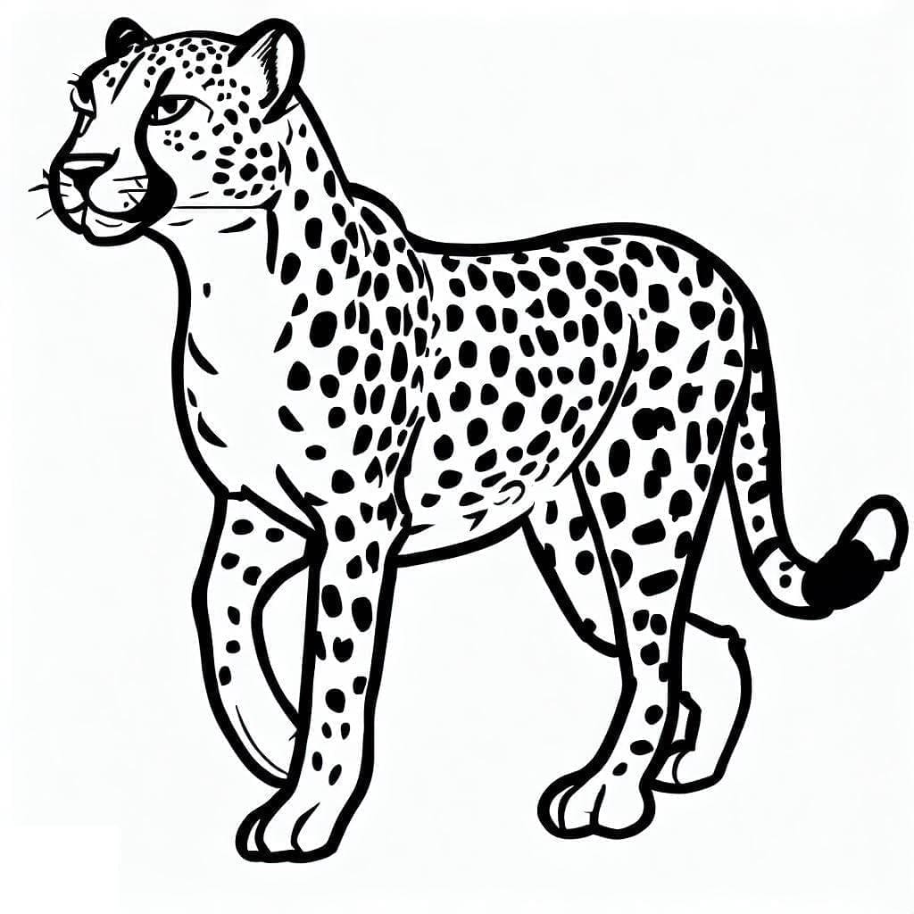 Afdrukken Cheetah