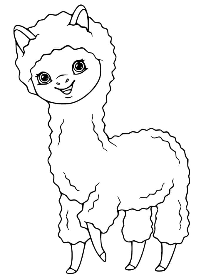 Alpaca Makkelijk