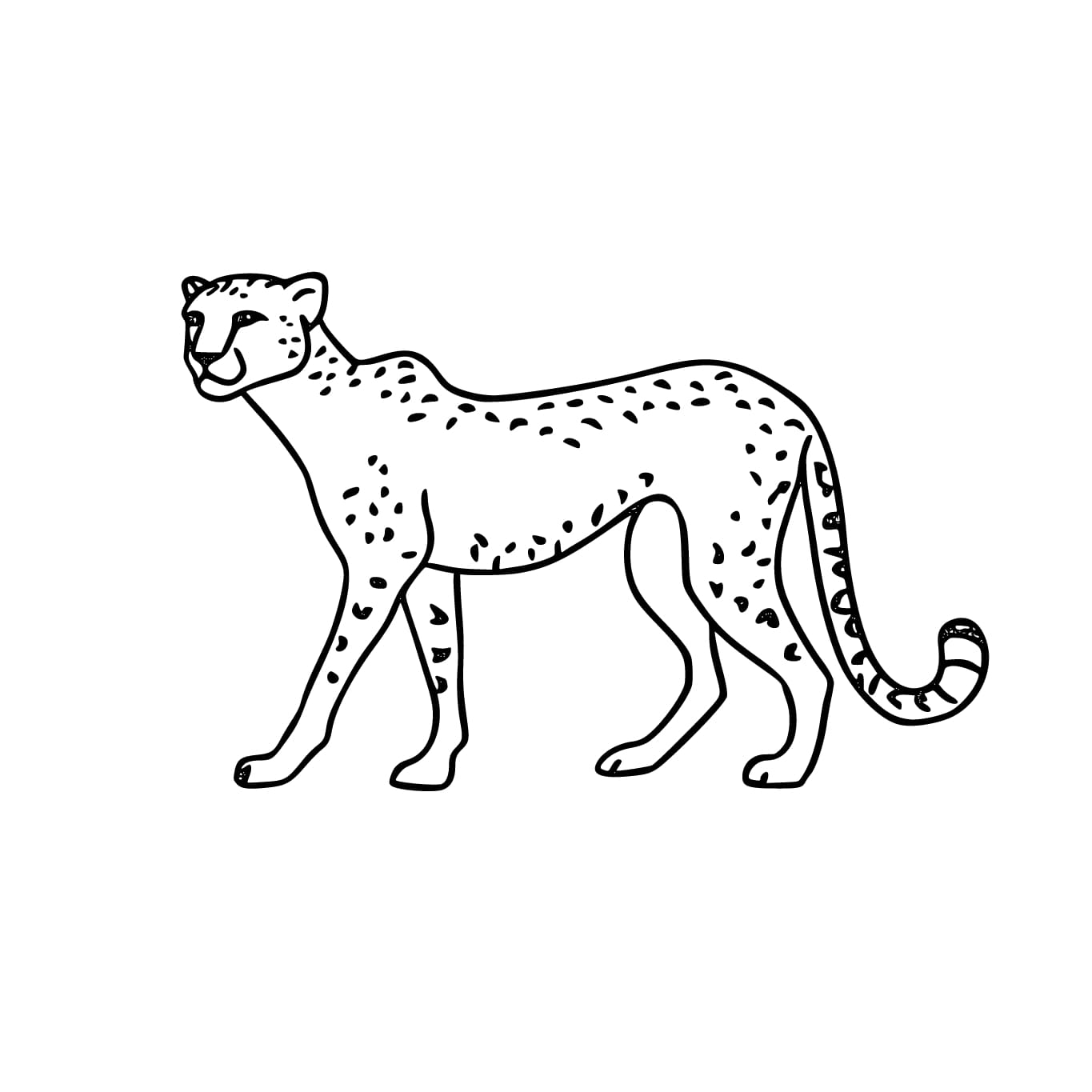 Cheetah Basis Kleurplaat Kinderen Kleurplaat