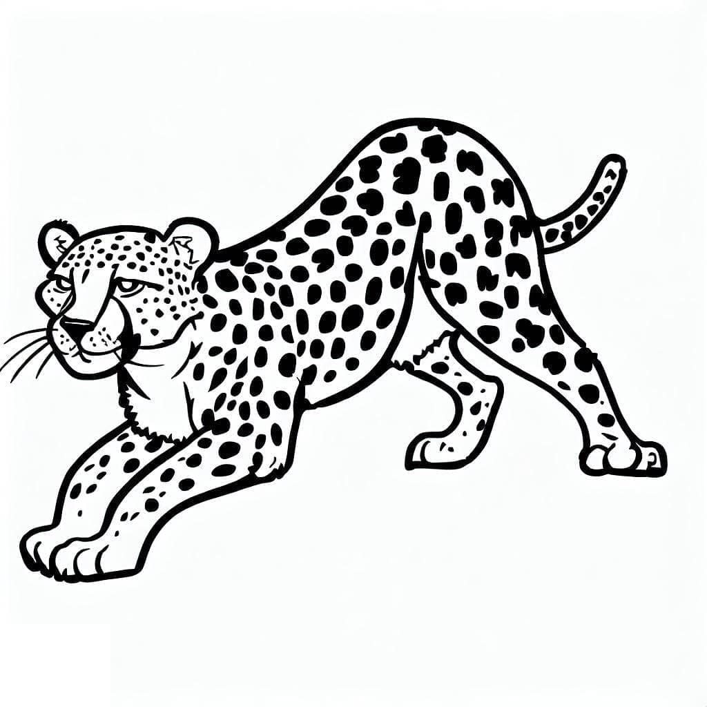 Cheetah vrij