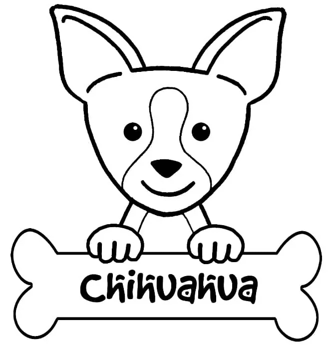 Chihuahua en bot