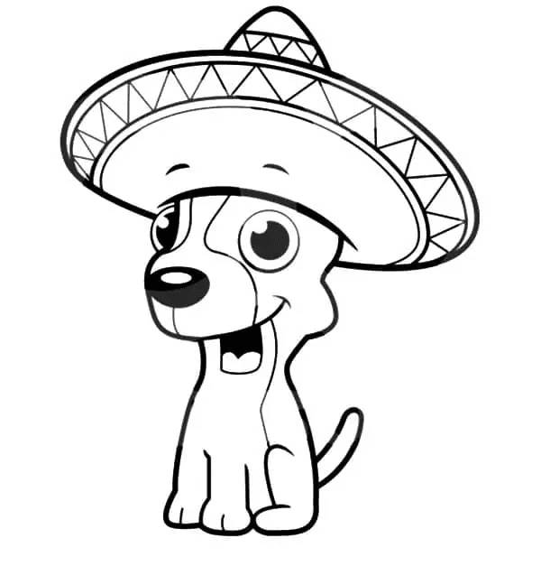 Chihuahua in Sombrero