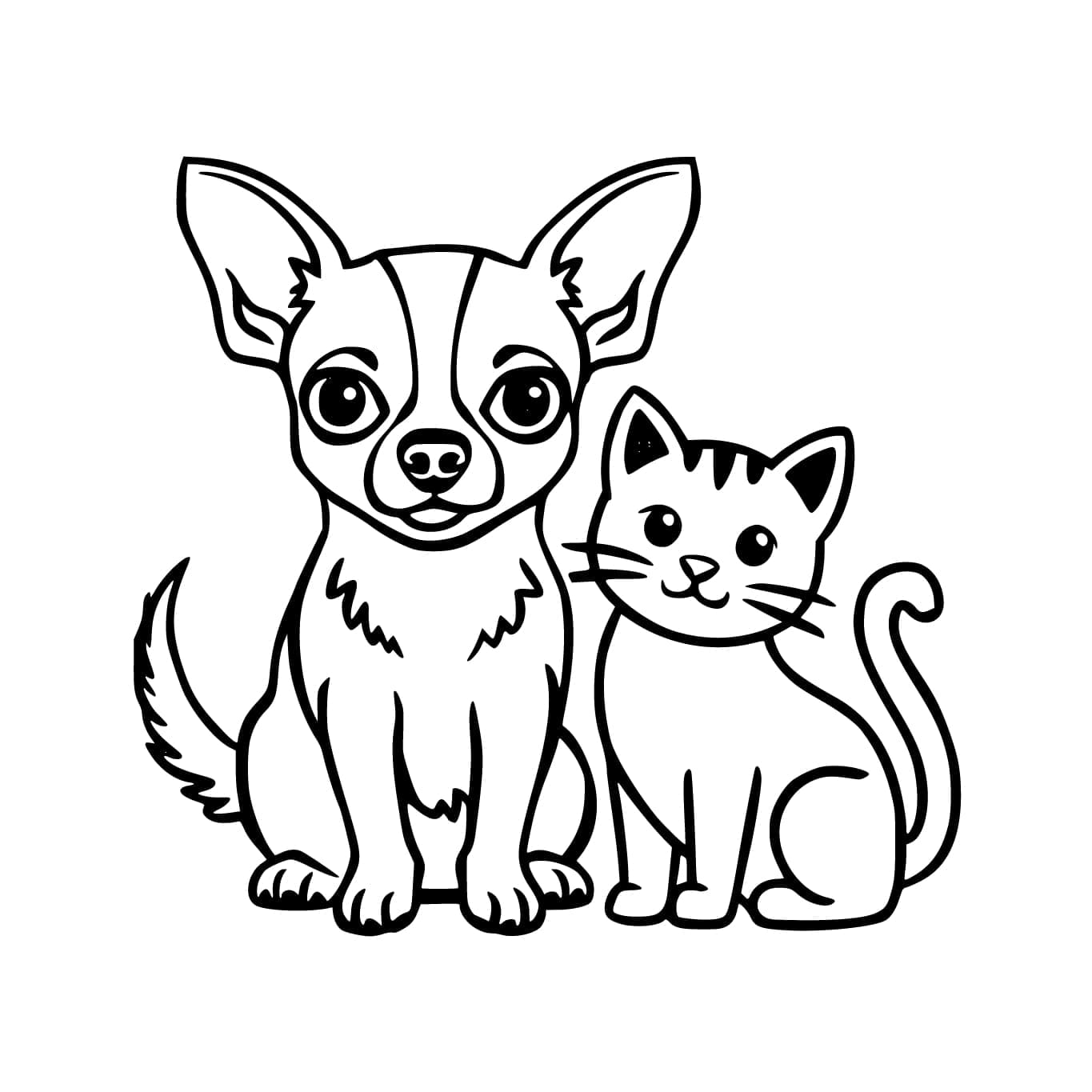 Chihuahua met kat