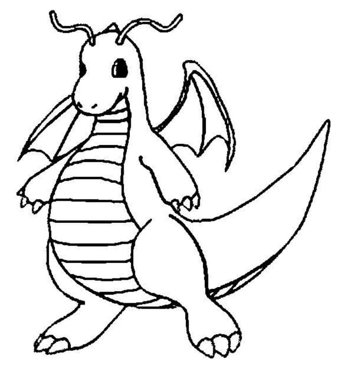 Dragonite basis