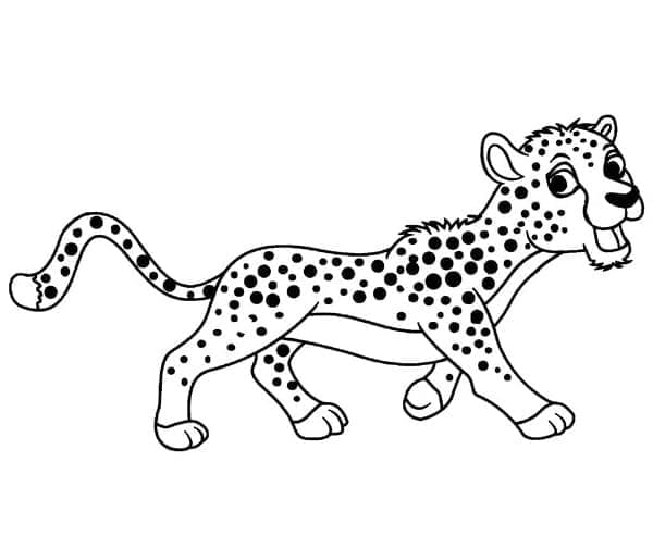 Gelukkig Cheetah