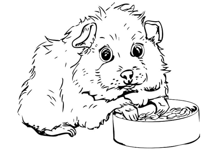 Gratis tekening van cavia