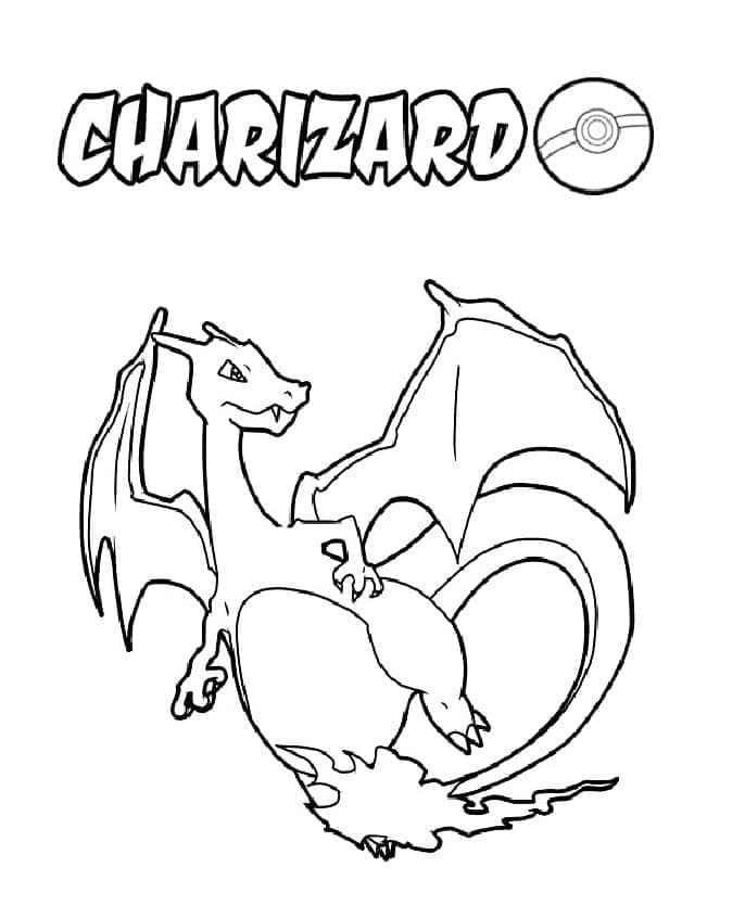 Koel Pokemon Charizard