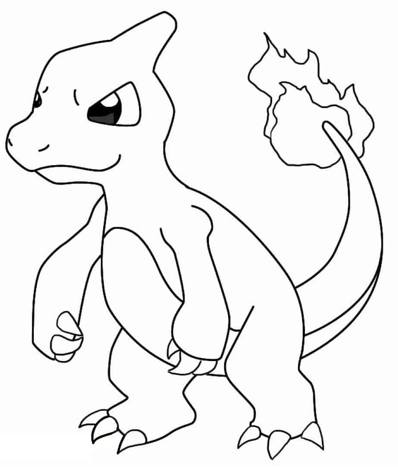 Leuke Charmeleon