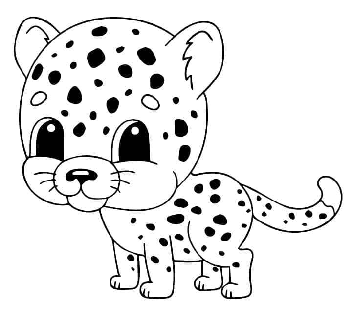 Schattige cheetah