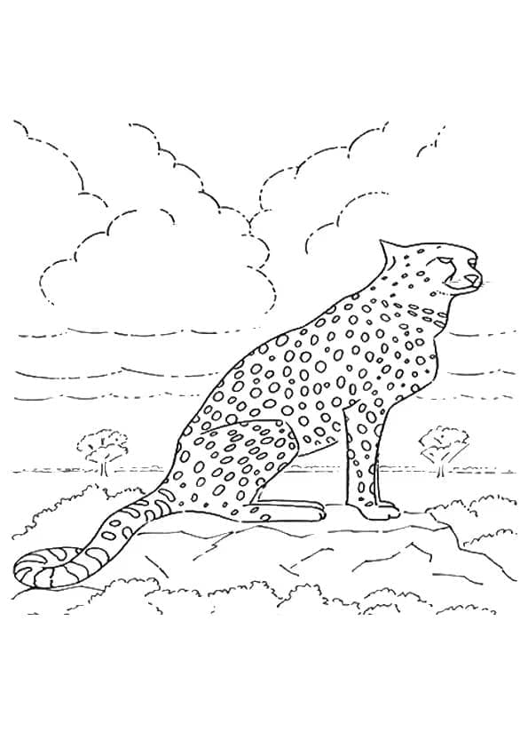 Tekening van Cheetah