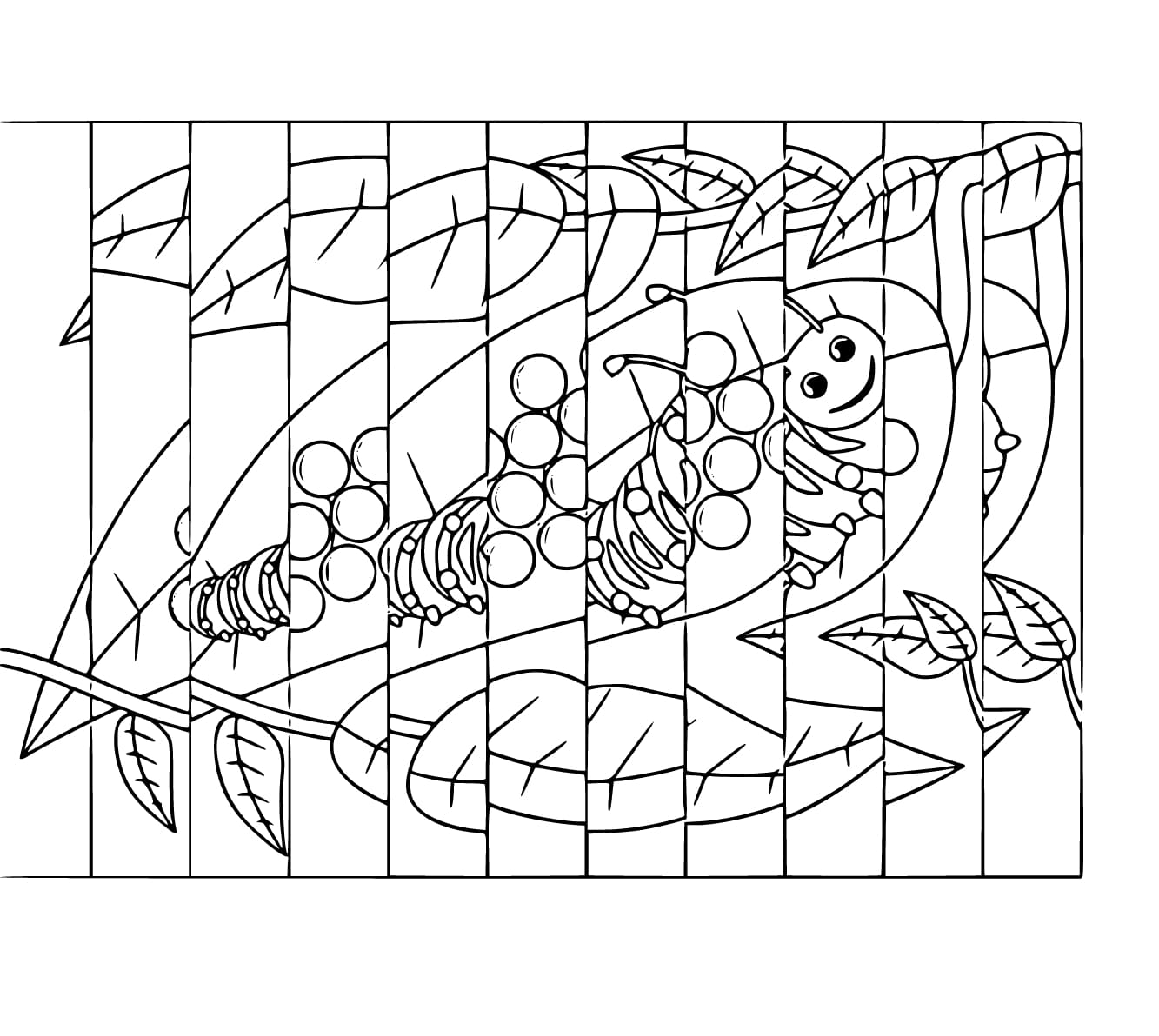 Agamograph worm en blad