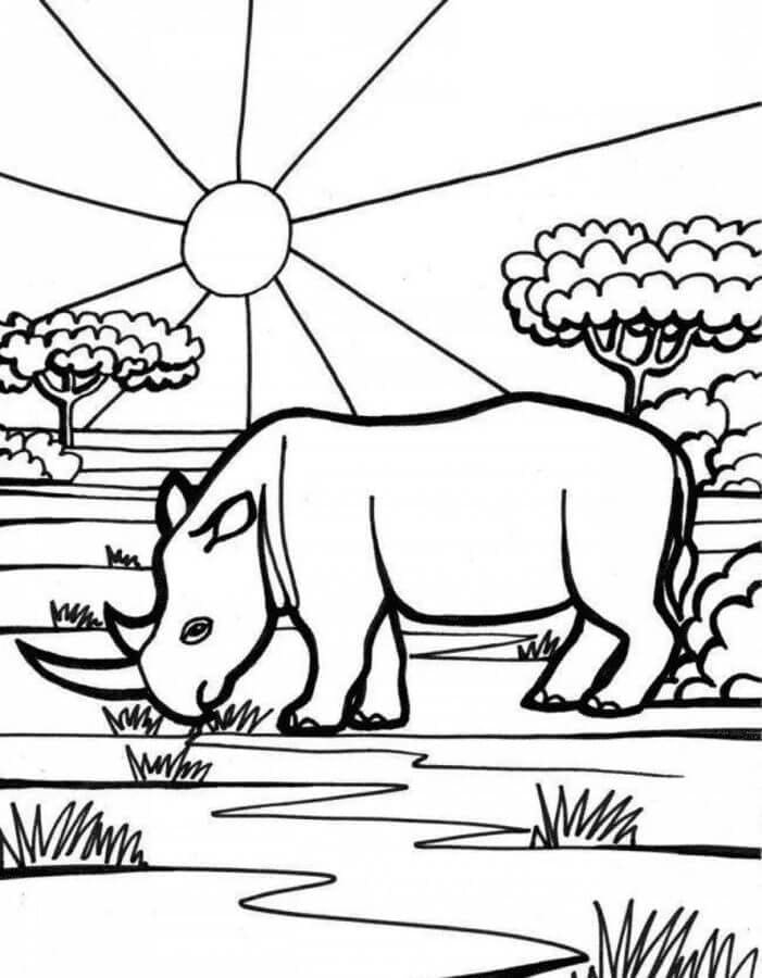 Een grote neushoorn uit Afrika koestert zich in de zon