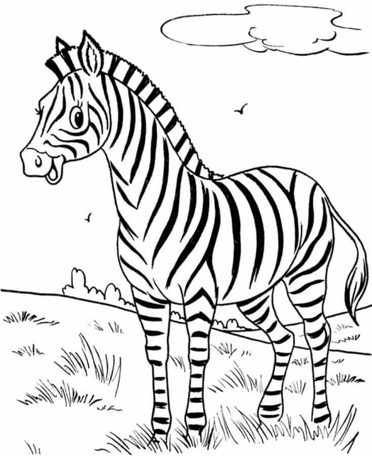 Schattige gestreepte zebra