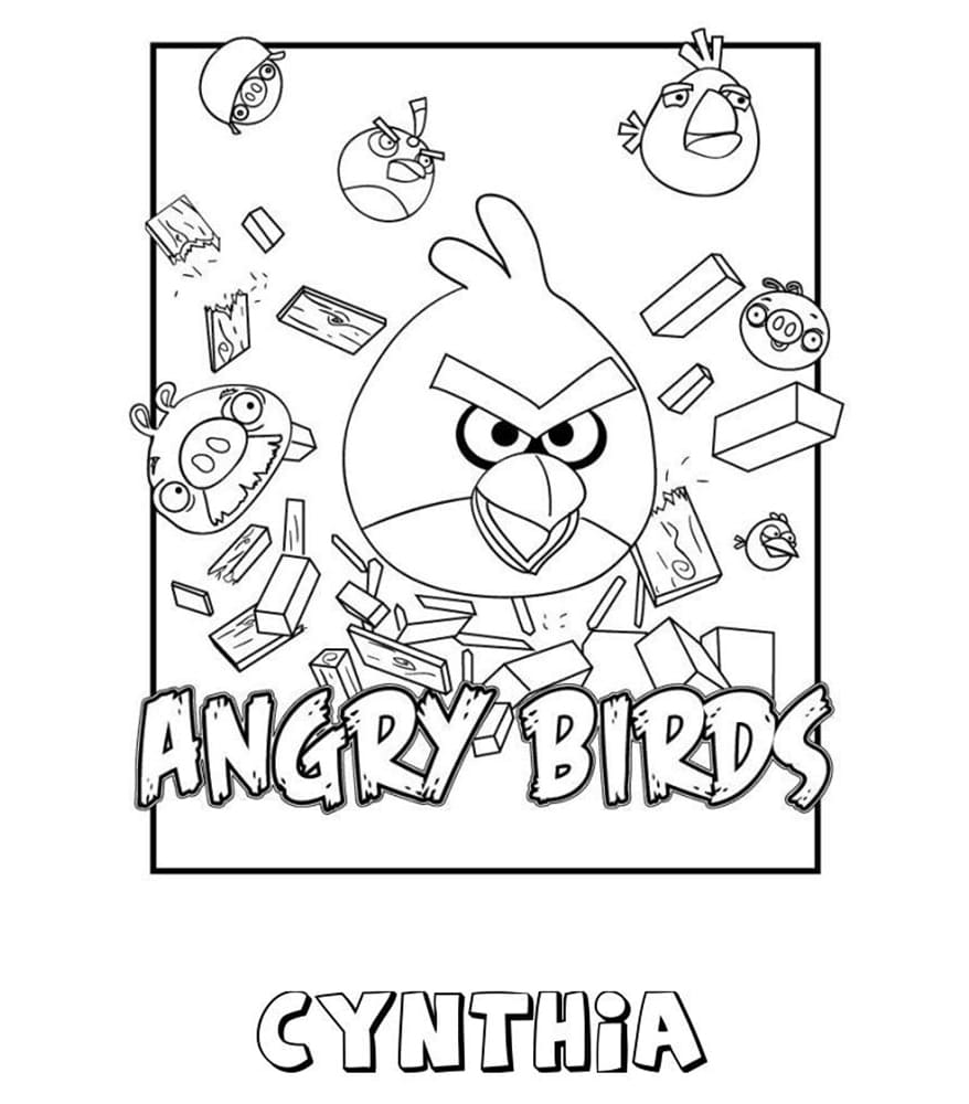 Cynthia Angry Birds