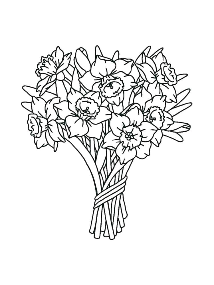 Gele narcis Bos Bloemen