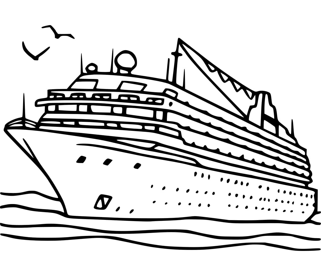 Cruiseschip en meeuwen